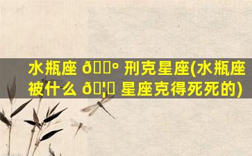 水瓶座 🌺 刑克星座(水瓶座被什么 🦆 星座克得死死的)